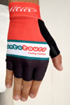 Summer Gloves