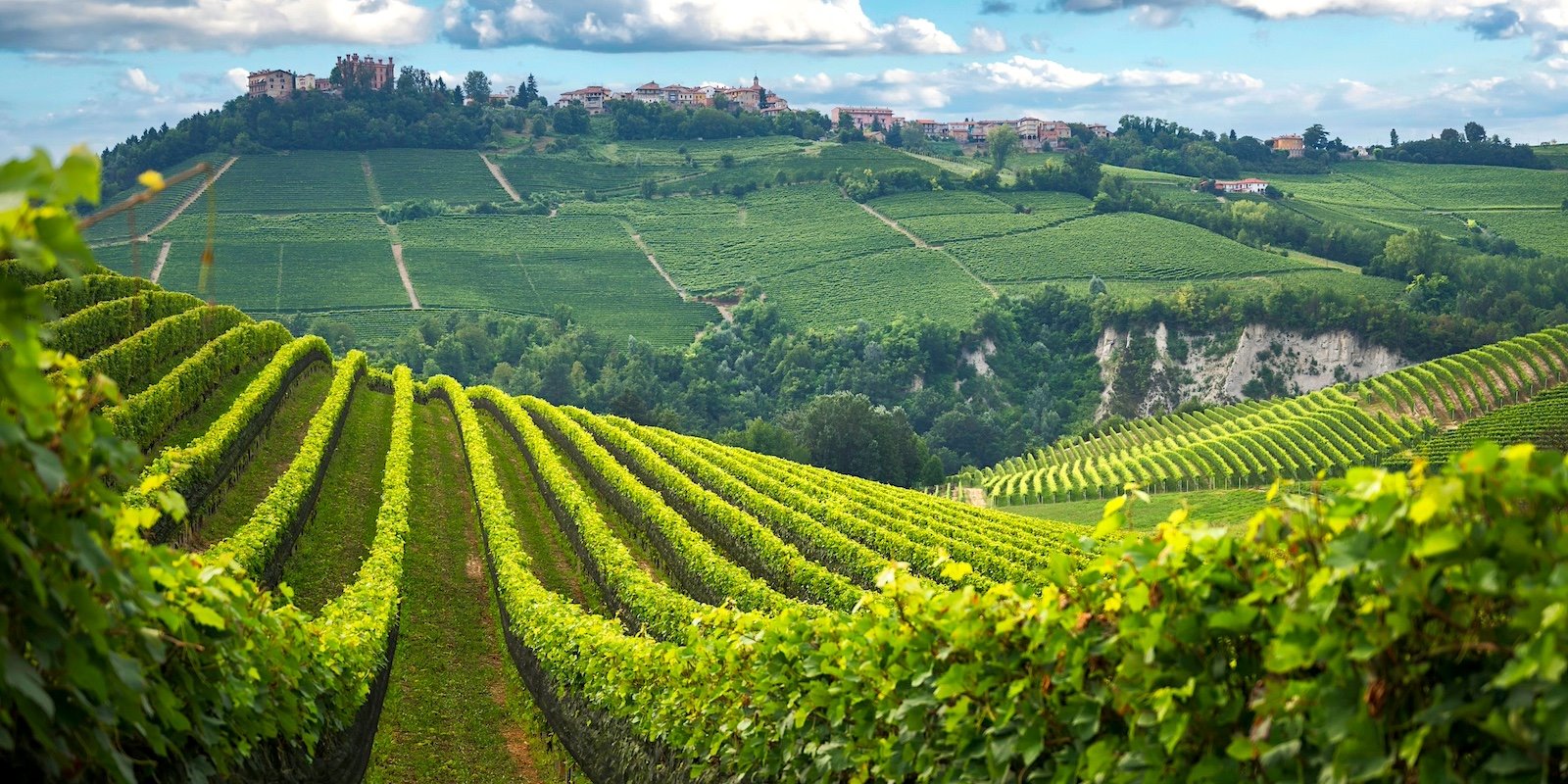 SteinePag Piemonte